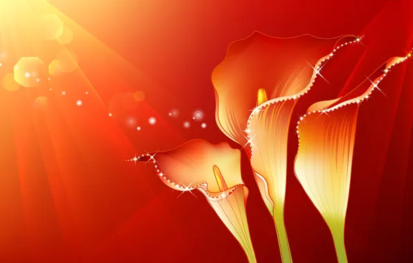 Picture rays, light, flowers, collage, Shine, Calla lilies