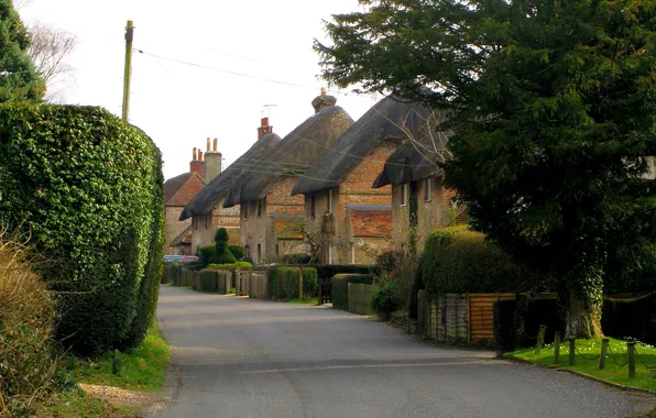 Picture street, home, UK, Hampshire, East Stratton
