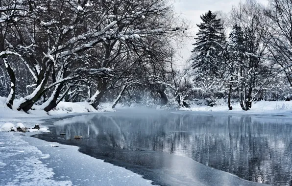 Winter, water, snow, trees, pond, Park, Bosnia and Herzegovina, Sarajevo