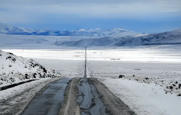 Picture road, field, snow, landscape