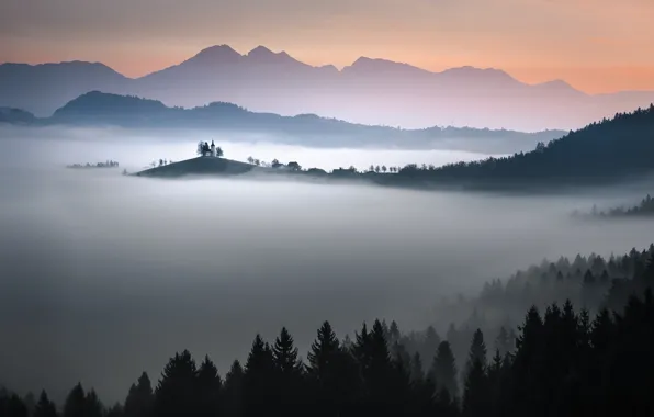 Picture forest, the sky, mountains, fog, Church