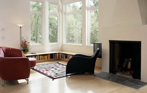 Books, lamp, chair, window, fireplace, living room