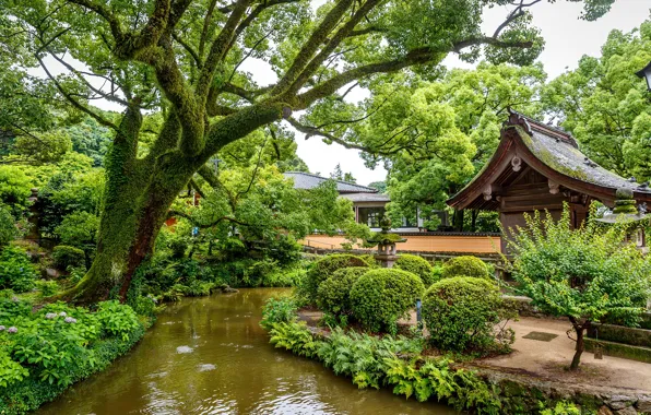 Greens, trees, design, pond, Park, Singapore, the bushes