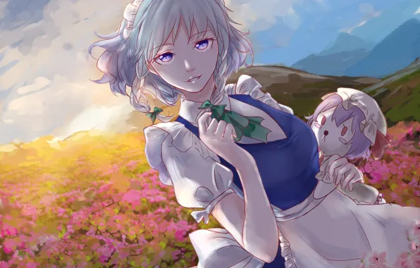 Girl, sunset, meadow, art, touhou