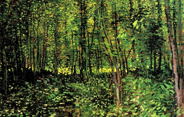 Picture woods, Vincent van Gogh, young trees, Trees and Undergrowth 2