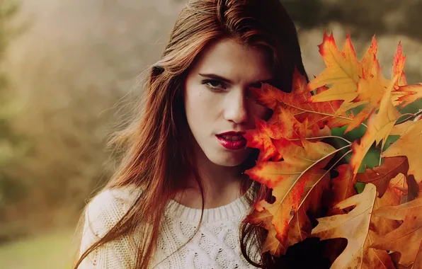 Picture nature, Anaïs Popy, Leaves of fall
