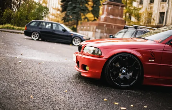 Autumn, BMW, e46