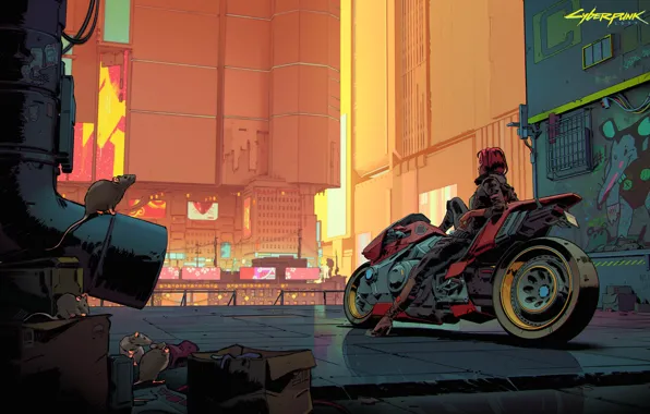Girl, the city, street, motorcycle, Cyberpunk 2077