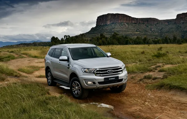 Picture grass, Ford, Everest, 4WD, midsize, XLT, 2019