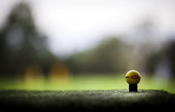 Sport, golf, ball