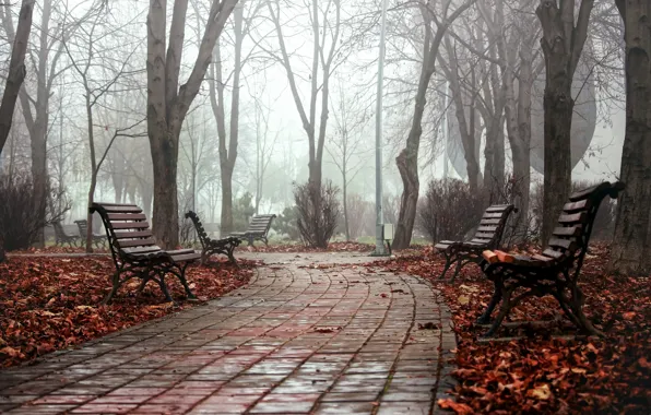 Autumn, the city, fog, Park, bench