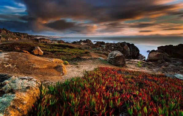 Stones, shore, vegetation, bright colors