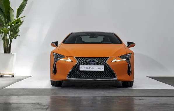 Lexus, front view, LC 500, 2019, LC 500h, Matte Prototype