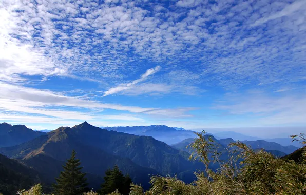 Picture the sky, clouds, trees, mountains, nature