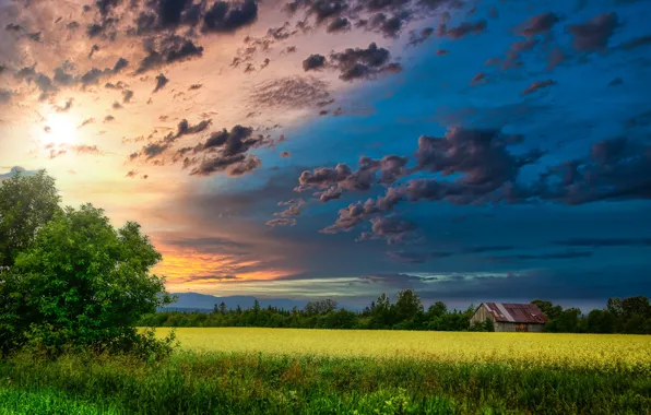 Picture field, landscape, sunset, nature, house, the barn