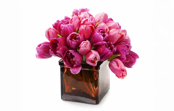 Picture flowers, bouquet, tulips, vase, fresh, flowers, tulips, purple