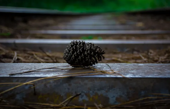 Autumn, railroad, sleepers, bumps