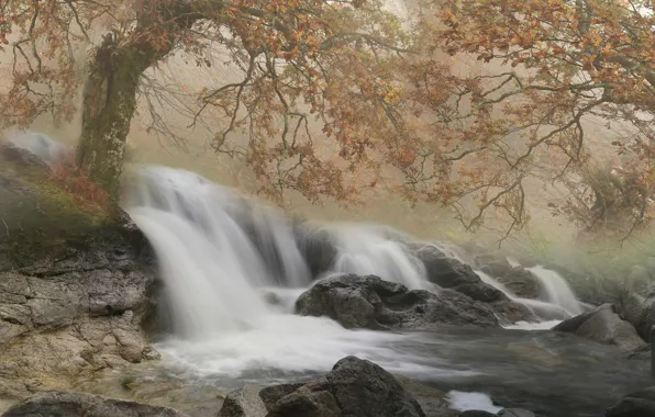 Autumn, river, stones, tree, France, waterfall, cascade, France