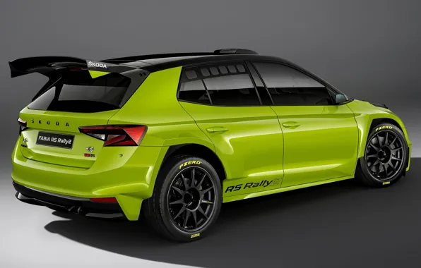 Exterior, Skoda, 2022, Rally2, Fabia RS