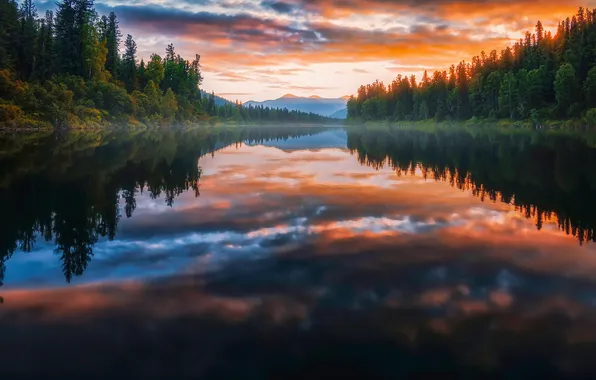 Picture forest, sunset, river, Alexander Nikitin