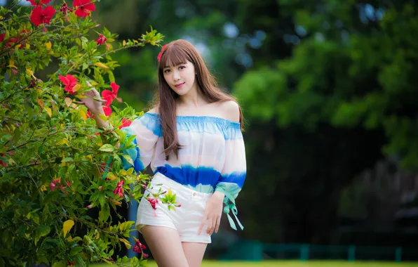Branches, Asian, cutie, shrub