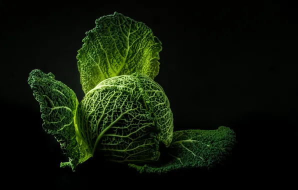 Picture the dark background, Vegetables, Cabbage