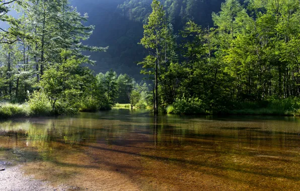 Landscape, nature, green. trees, shadow. water