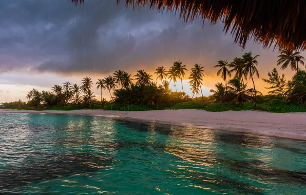 Landscape, clouds, nature, tropics, palm trees, rain, the ocean, coast