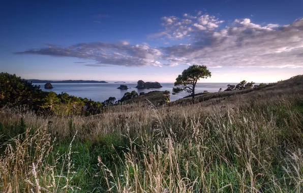 Sea, landscape, New Zealand, Waikato, Hahei