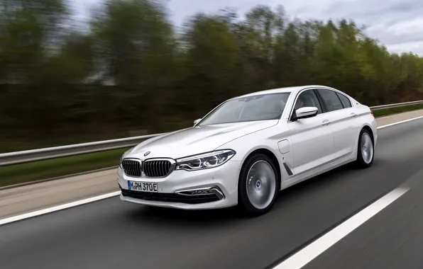 White, asphalt, trees, BMW, sedan, hybrid, 5, four-door