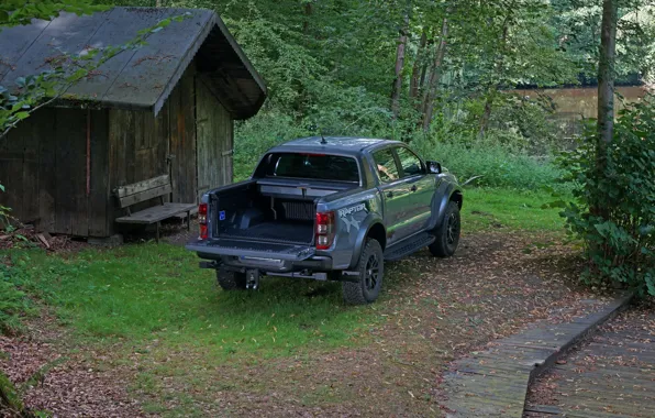 Grey, Ford, the barn, Raptor, pickup, Ranger, 2019