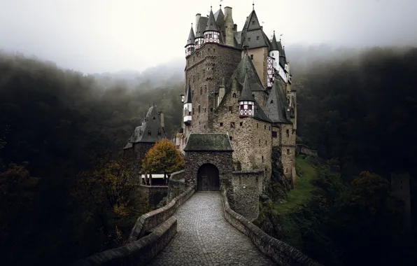 Autumn, fog, castle, Germany, ELTZ