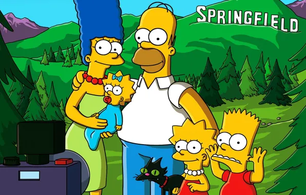 Picture Photo, The simpsons, Figure, Homer, Maggie, Maggie, Simpsons, Bart