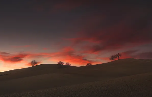 Clouds, trees, hills, trees, clouds, hills, Paolo Lazzarotti