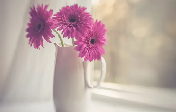 Style, pitcher, gerbera