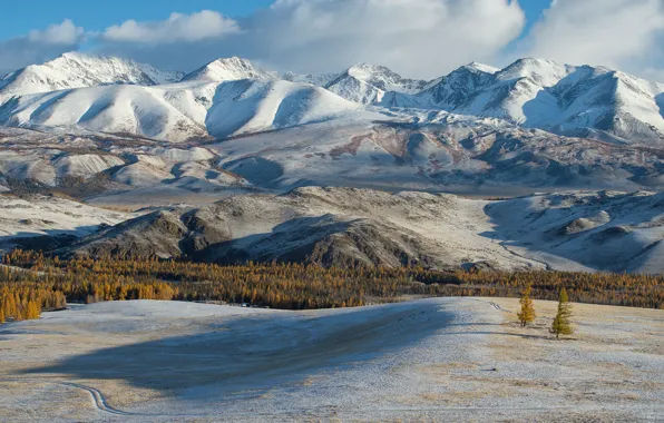 Mountains, Altay, Kurai ridge