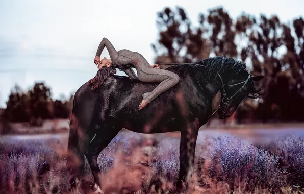Girl, horse, horse, bending, lavender
