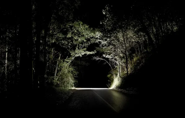 Picture road, forest, night