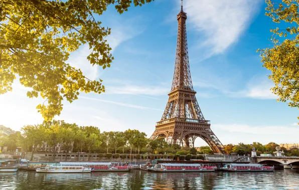 Water, the sun, light, trees, bridge, river, France, Paris