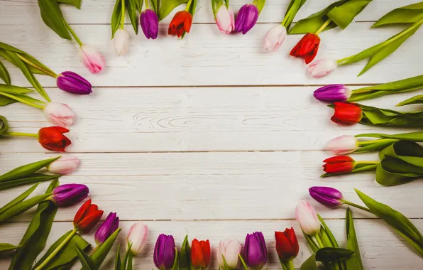 Flowers, colorful, tulips, red, white, wood, flowers, tulips