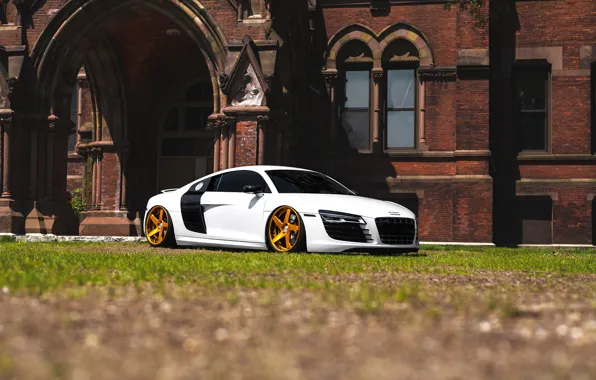 Picture audi, White, Gold, Wheels, Before, Garde, R8