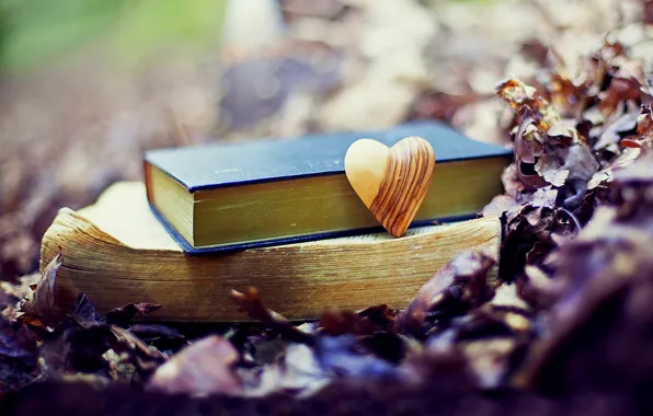 Autumn, forest, leaves, love, nature, Park, heart, books
