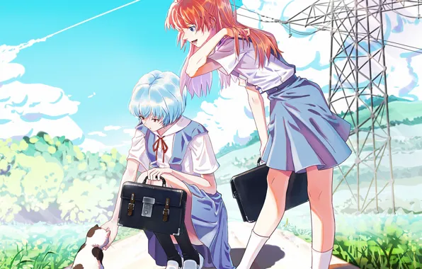 Girls, cat, Evangelion, Evangelion