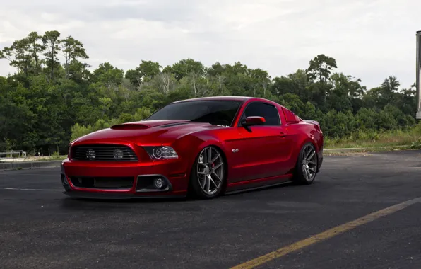 Picture Mustang, Ford, Matte, Wheels, VMB5, Velgen, Gunmetal, Baggedon