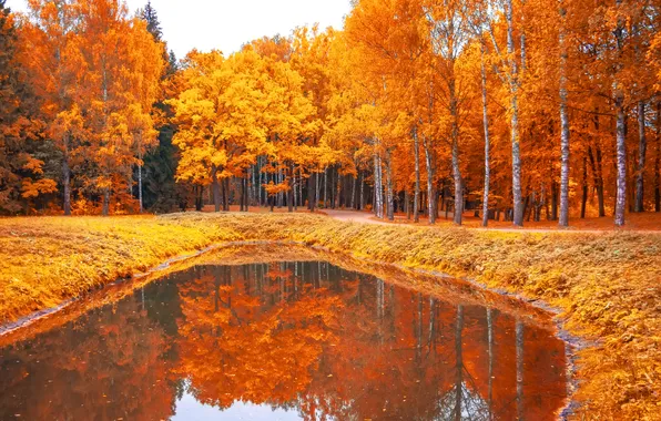 Autumn, leaves, trees, Park, colorful, park, autumn, leaves