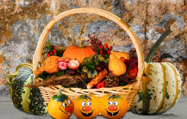 Picture pumpkin, still life, basket, vegetables