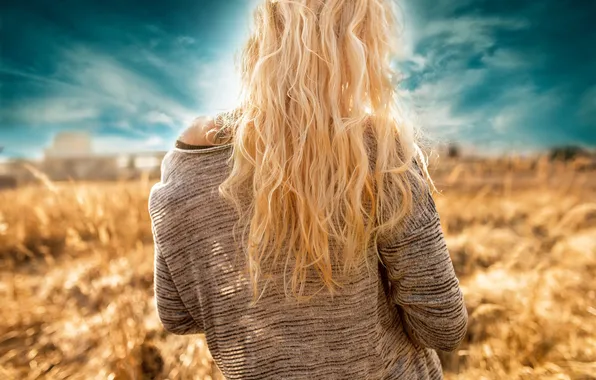 Picture field, the sky, girl, hair, back, art