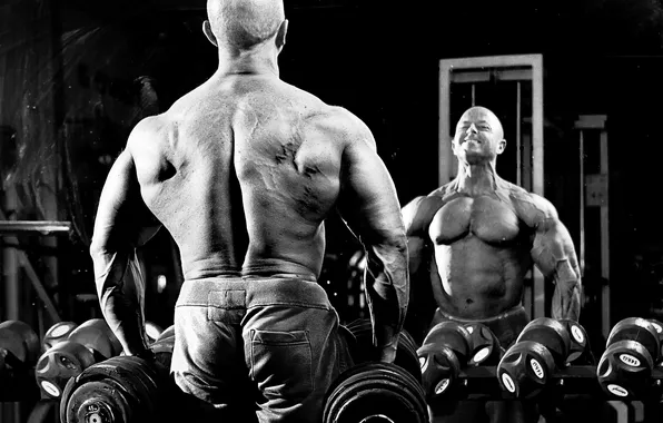 Picture power, men, back, bodybuilder, jerry Koolhoven