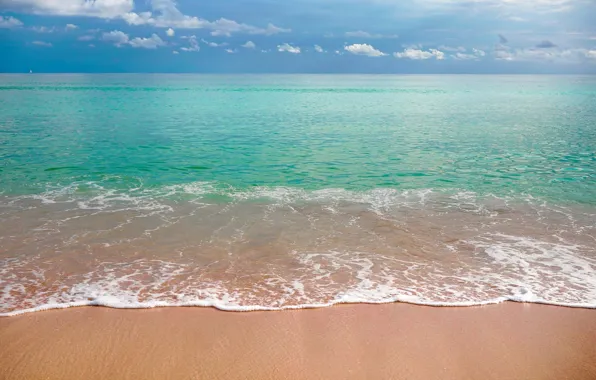 Sea, Shore, beach.