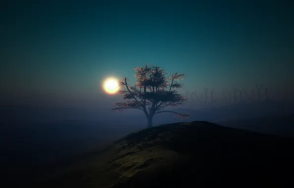 Light, night, tree, the moon, minimalism, hill